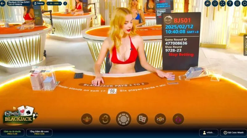 cách chơi blackjack Các tình huống quan trọng trong chơi Blackjack cũng là điều cần chú ý