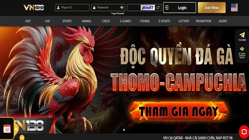 Hướng dẫn cách đăng nhập VN138 thành công cho người mới bắt đầu